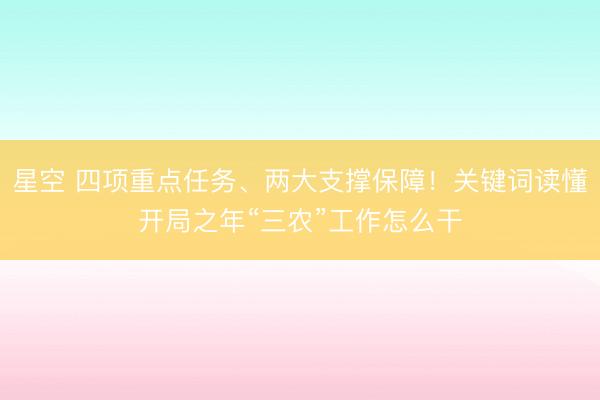 星空 四项重点任务、两大支撑保障！关键词读懂开局之年“三农”工作怎么干