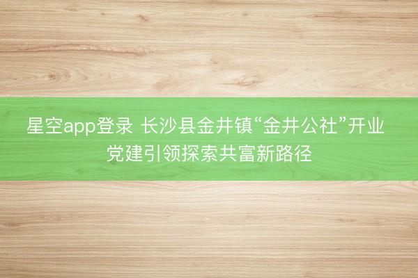 星空app登录 长沙县金井镇“金井公社”开业 党建引领探索共富新路径