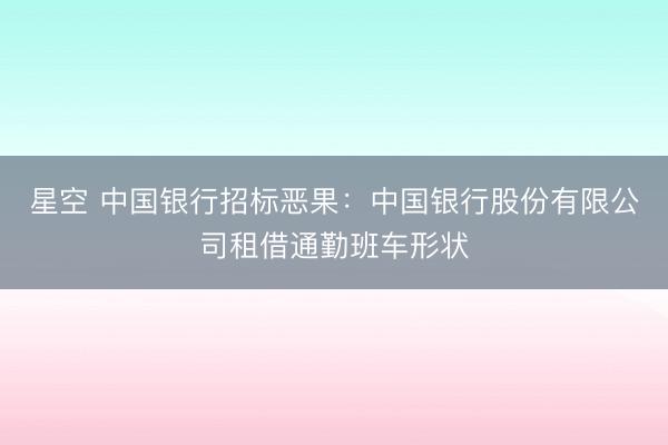 星空 中国银行招标恶果：中国银行股份有限公司租借通勤班车形状