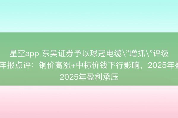 星空app 东吴证券予以球冠电缆