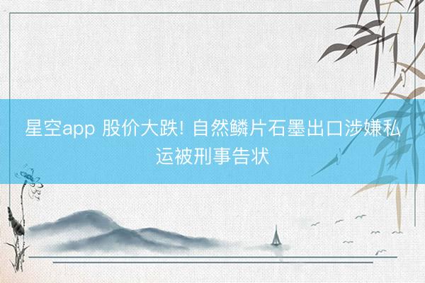 星空app 股价大跌! 自然鳞片石墨出口涉嫌私运被刑事告状