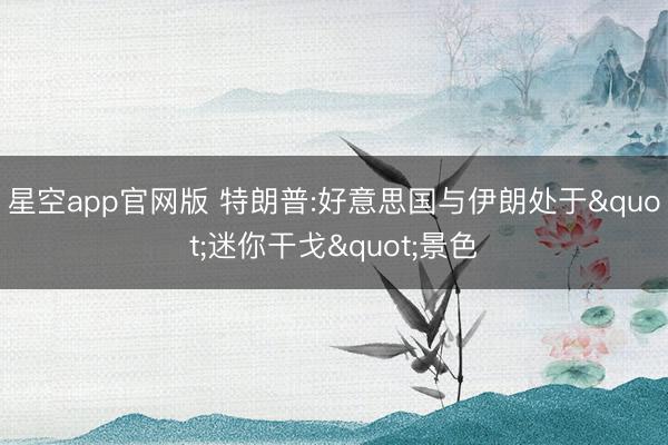 星空app官网版 特朗普:好意思国与伊朗处于"迷你干戈"景色