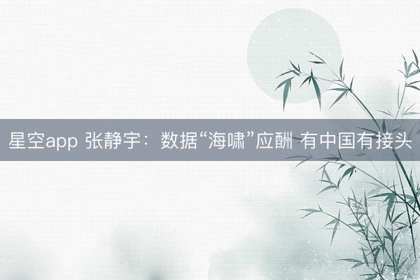 星空app 张静宇：数据“海啸”应酬 有中国有接头
