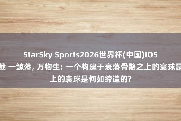 StarSky Sports2026世界杯(中国)IOS/安卓官方下载 一鲸落, 万物生: 一个构建于衰落骨骼之上的寰球是何如缔造的?