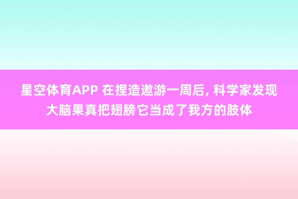 星空体育APP 在捏造遨游一周后， 科学家发现大脑果真把翅膀它当成了我方的肢体