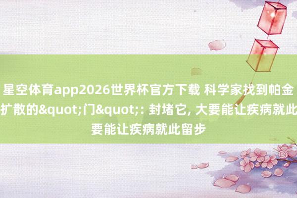 星空体育app2026世界杯官方下载 科学家找到帕金森病扩散的"门": 封堵它, 大要能让疾病就此留步