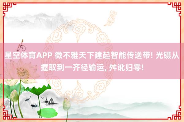 星空体育APP 微不雅天下建起智能传送带! 光镊从握取到一齐径输运, 舛讹归零!