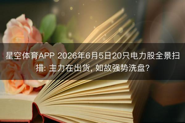 星空体育APP 2026年6月5日20只电力股全景扫描: 主力在出货, 如故强势洗盘?