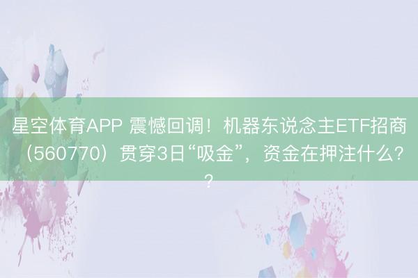 星空体育APP 震憾回调!机器东说念主ETF招商(560770)贯穿3日“吸金”,资金在押注什么?