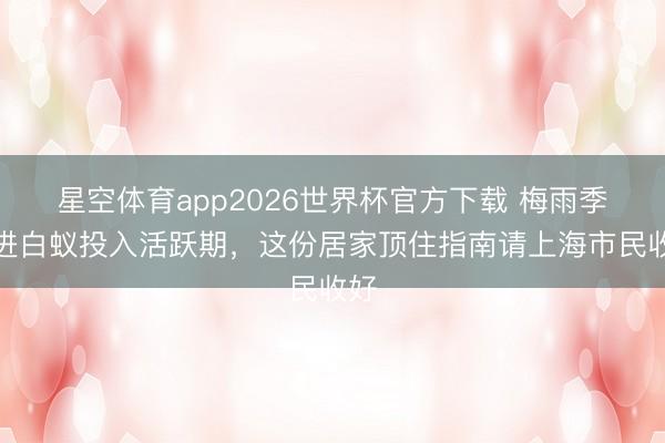 星空体育app2026世界杯官方下载 梅雨季附进白蚁投入活跃期,这份居家顶住指南请上海市民收好